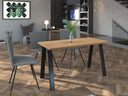 Mesa Annia