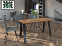 Mesa Annia