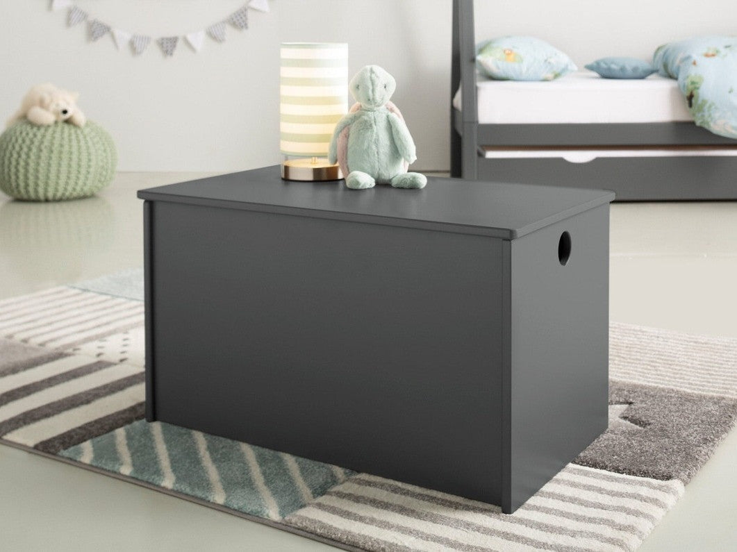 Caja de almacenamiento 440229
