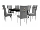 Conjunto de comedor Sanar