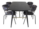 Conjunto de comedor Patrilis