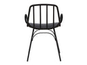 Silla Sciulus