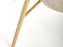 Silla Pectellus