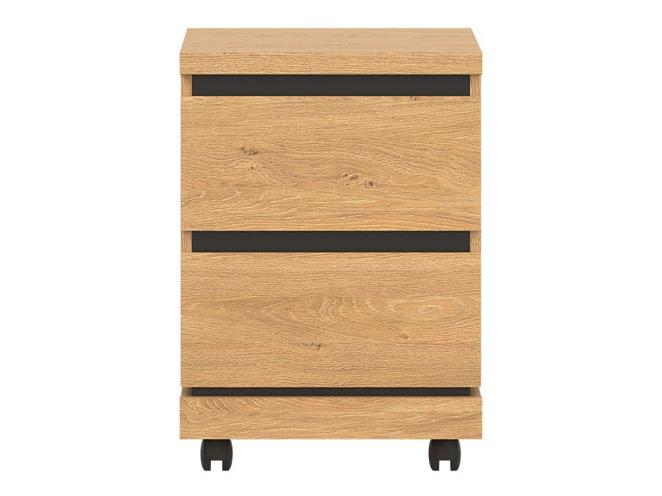 Archivador 511484