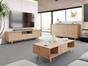 Conjunto de salón Salicix