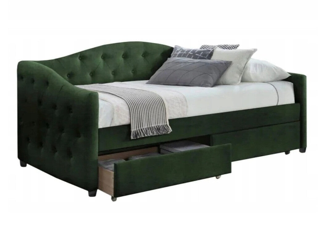 Cama 240213