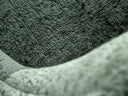 Silla Fungal