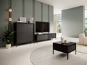 Conjunto de salón Romfele 106