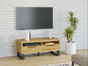 Mueble TV Avicavu 100
