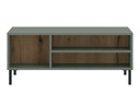 Conjunto de salón Novfera 111