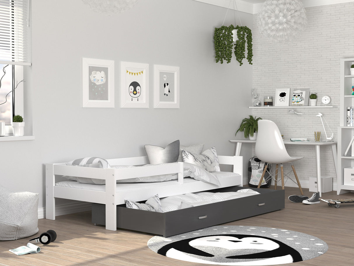Cama 145651