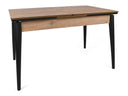 Mesa Scriptor