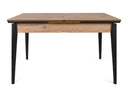 Mesa Scriptor