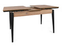 Mesa Scriptor