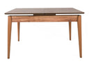 Mesa Scriptor