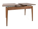Mesa Scriptor
