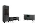 Conjunto de salón Remeta 111