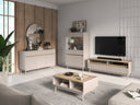 Conjunto de salón Vircalu 110
