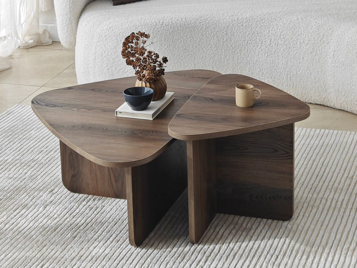 Conjunto mesa de centro 596984
