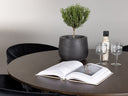 Conjunto de comedor Dallas 4886
