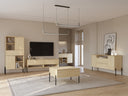 Conjunto de salón Levtenu 118