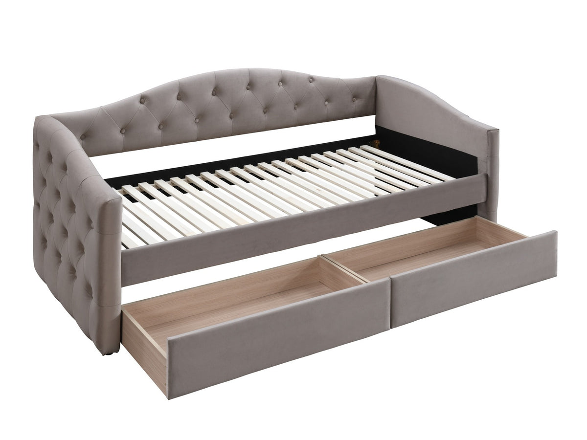 Cama 240213