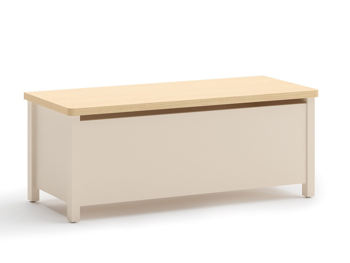 Caja de almacenamiento 611773