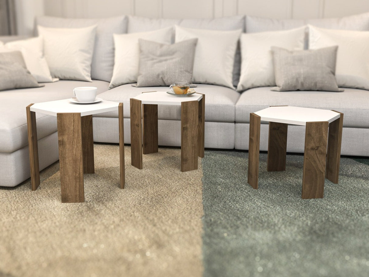 Conjunto mesa de centro 663137