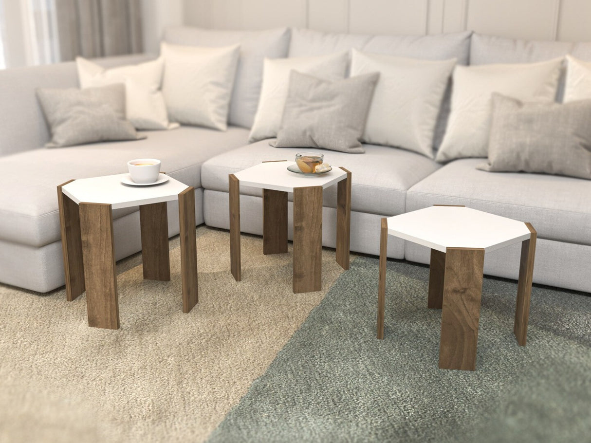 Conjunto mesa de centro 663137