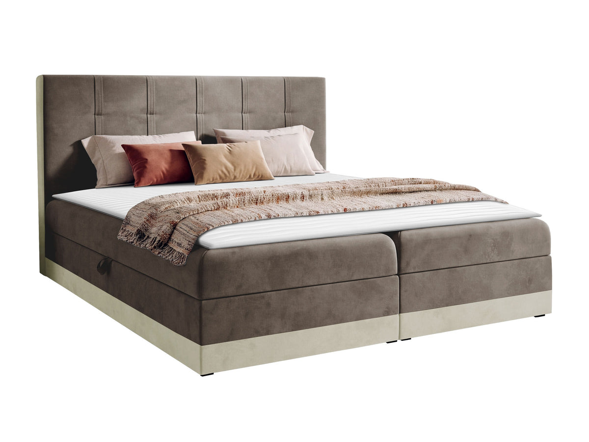 Cama continental 233823 5146534