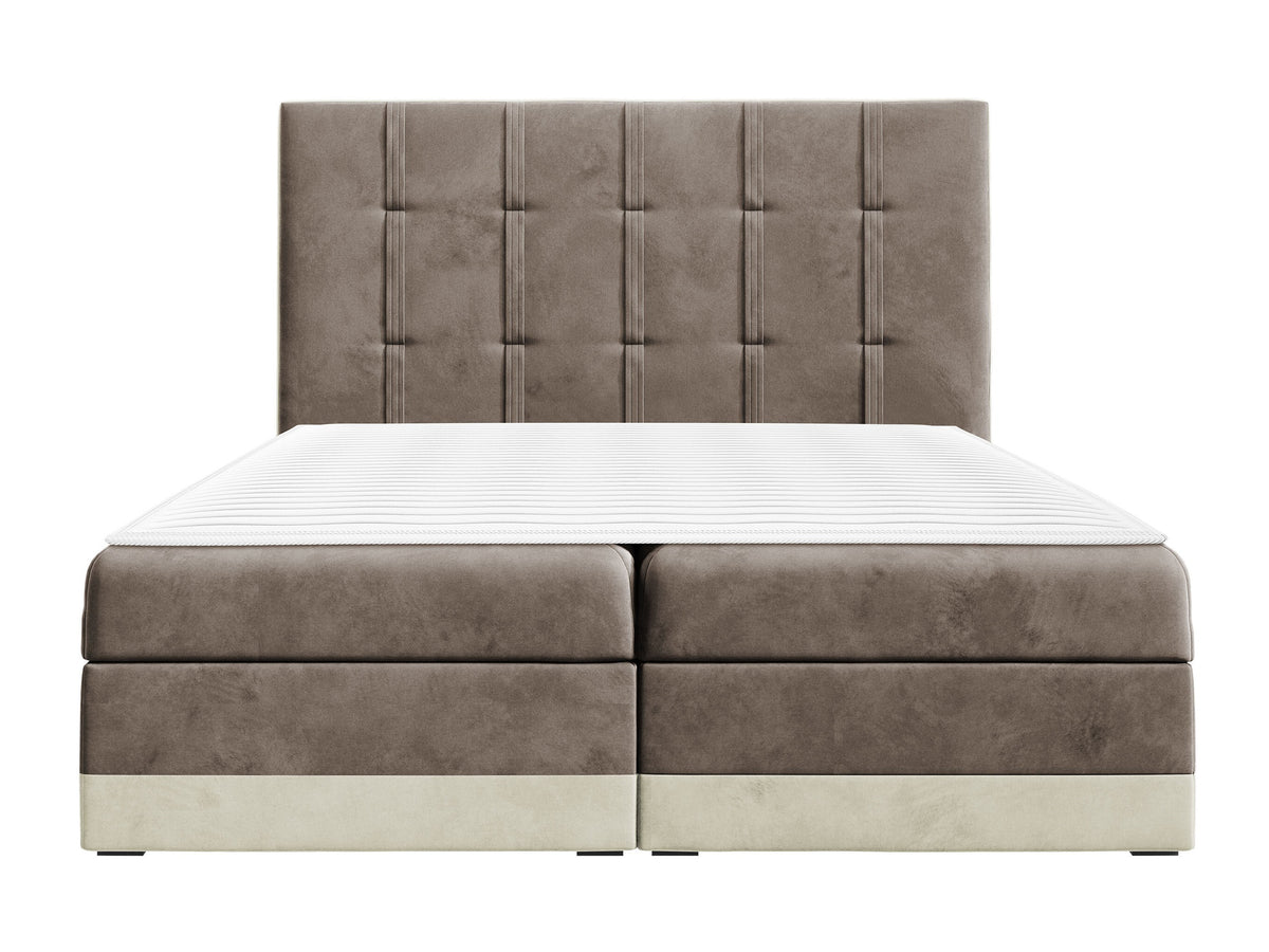 Cama continental 233823 5146554