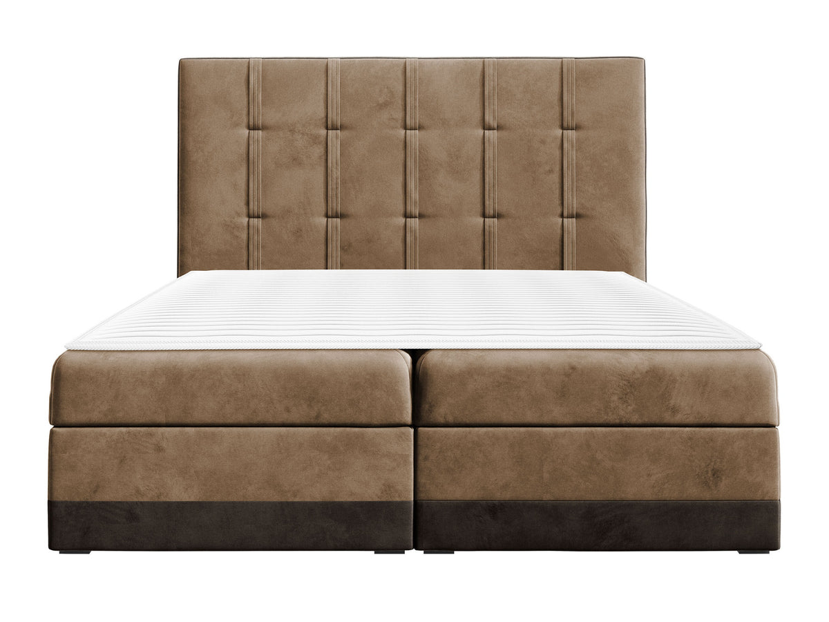 Cama continental 233823 5146572