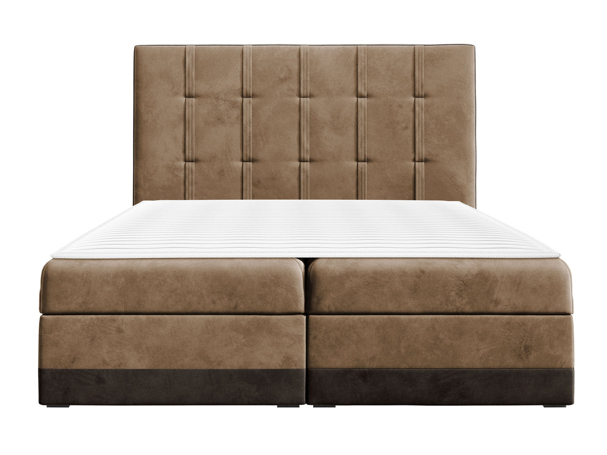 Cama continental 233823 5146581