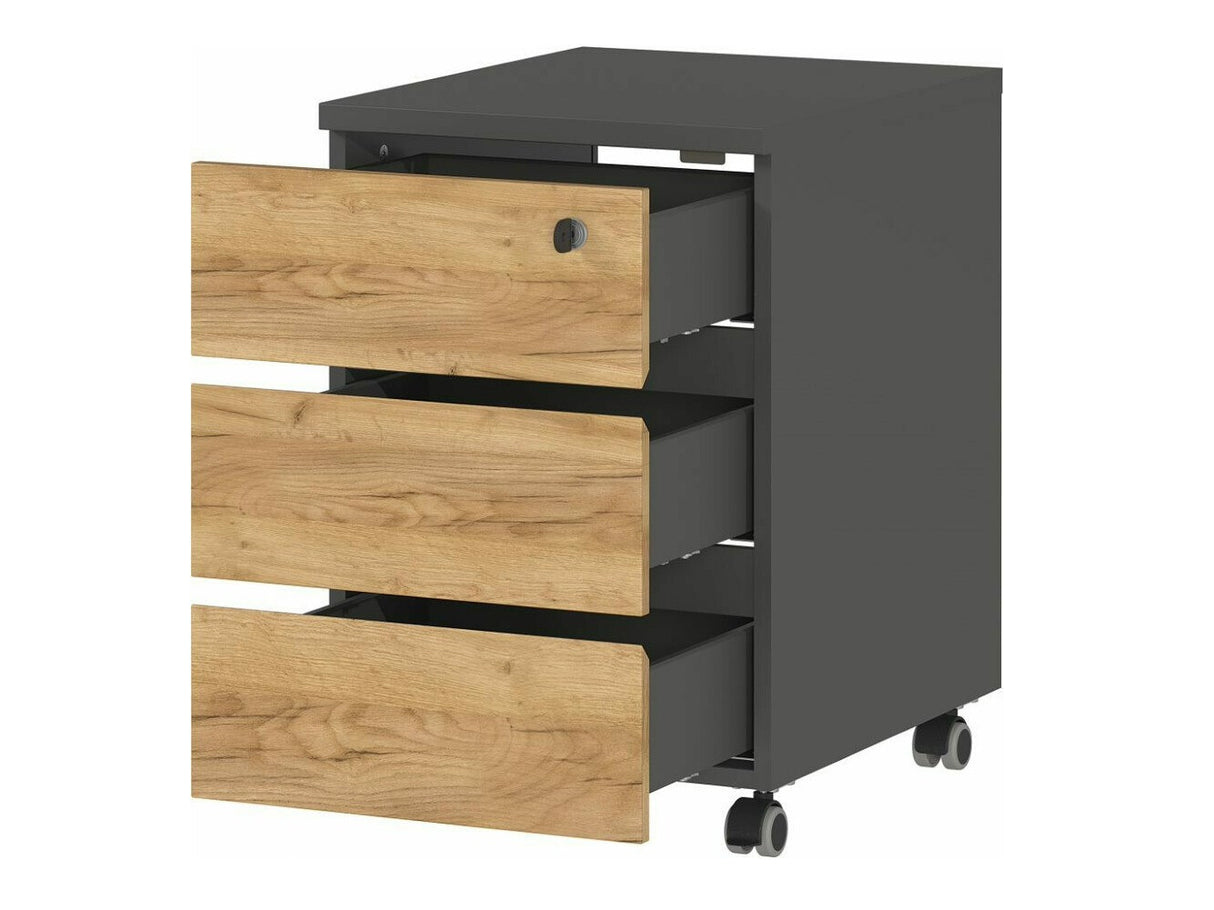 Archivador 442813
