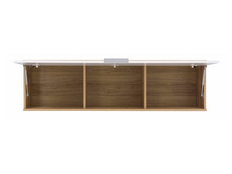 Armario de pared 62624