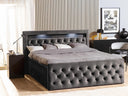 Cama continental Oleellus