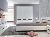 Armario 67011