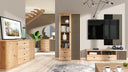 Mueble TV Apisillus