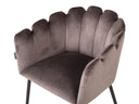 Silla Ferrula