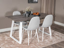Conjunto de comedor Ovmentum