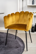 Conjunto de comedor Mensiuma