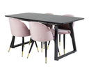 Conjunto de comedor Saniuma