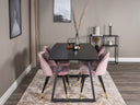 Conjunto de comedor Saniuma