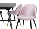 Conjunto de comedor Saniuma