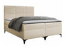 Cama continental 210704