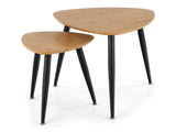 Conjunto mesa de centro 386214