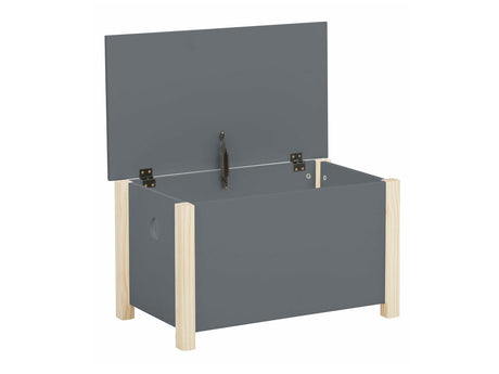 Caja de almacenamiento 459286