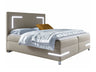 Cama continental 471016