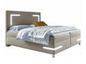 Cama continental 471016