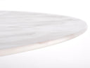 Mesa Equillus